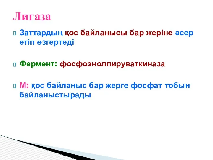 Заттардың қос байланысы бар жеріне әсер етіп өзгертеді Фермент: фосфоэнолпируваткиназа