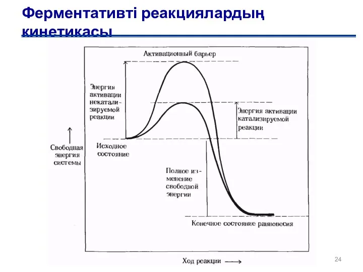 Ферментативті реакциялардың кинетикасы