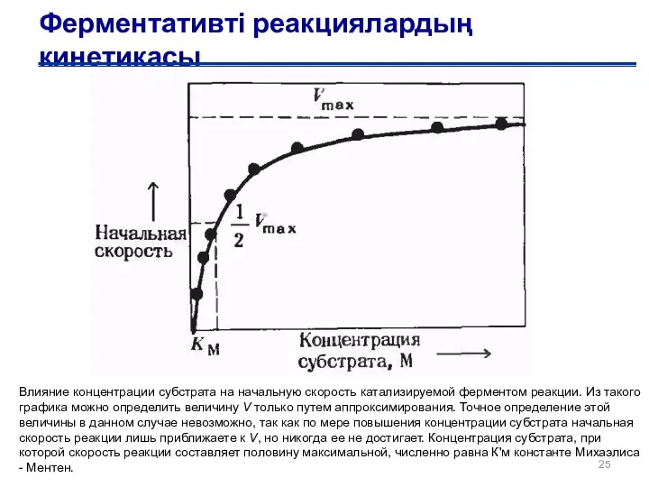 Ферментативті реакциялардың кинетикасы Влияние концентрации субстрата на начальную скорость катализируемой