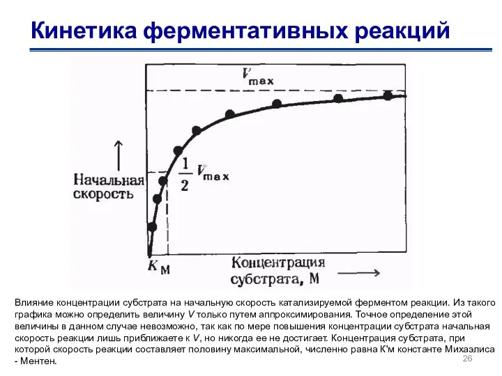 Кинетика ферментативных реакций Влияние концентрации субстрата на начальную скорость катализируемой