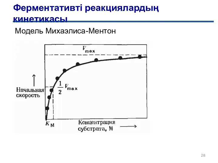 Ферментативті реакциялардың кинетикасы Модель Михаэлиса-Ментон