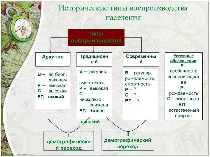 Исторические типы воспроизводства населения