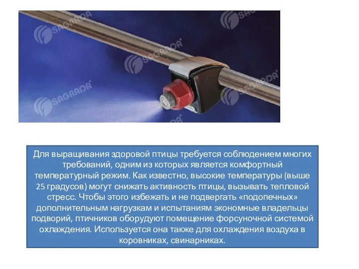 Для выращивания здоровой птицы требуется соблюдением многих требований, одним из