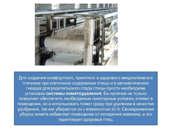 Для создания комфортного, приятного и здорового микроклимата в птичнике при
