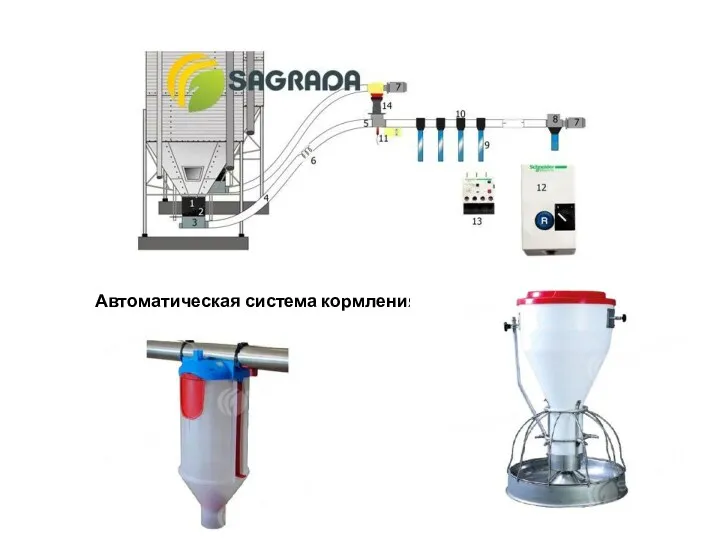 Автоматическая система кормления