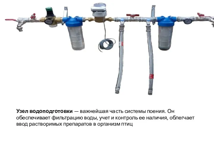 Узел водоподготовки — важнейшая часть системы поения. Он обеспечивает фильтрацию