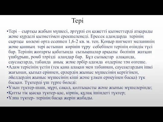 Тері Тері – сыртқы жабын мүшесі, әртүрлі ең қажетті қызметтерді