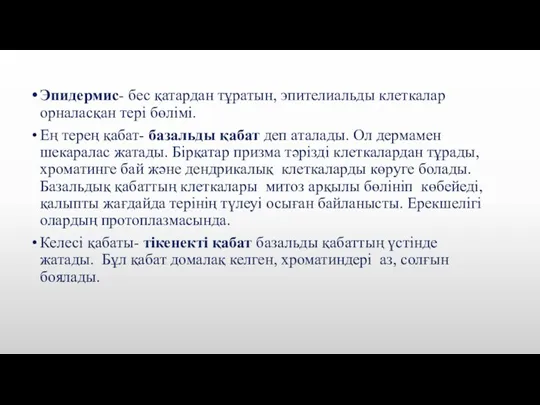 Эпидермис- бес қатардан тұратын, эпителиальды клеткалар орналасқан тері бөлімі. Ең