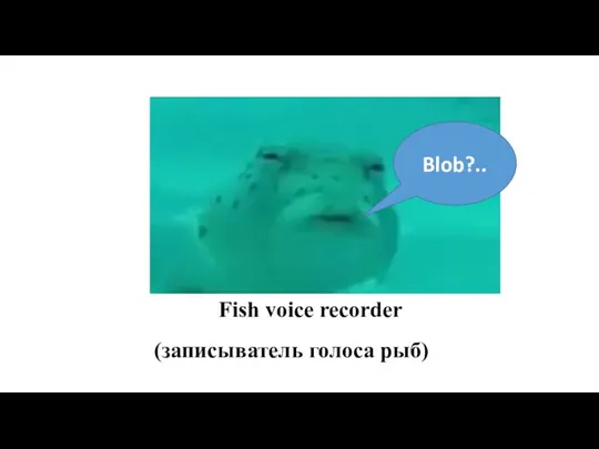 Fish voice recorder (записыватель голоса рыб) Blob?..