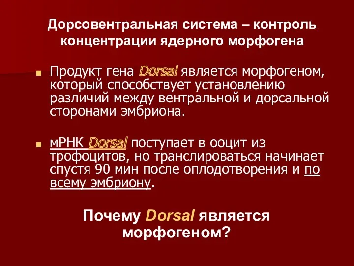 Продукт гена Dorsal является морфогеном, который способствует установлению различий между