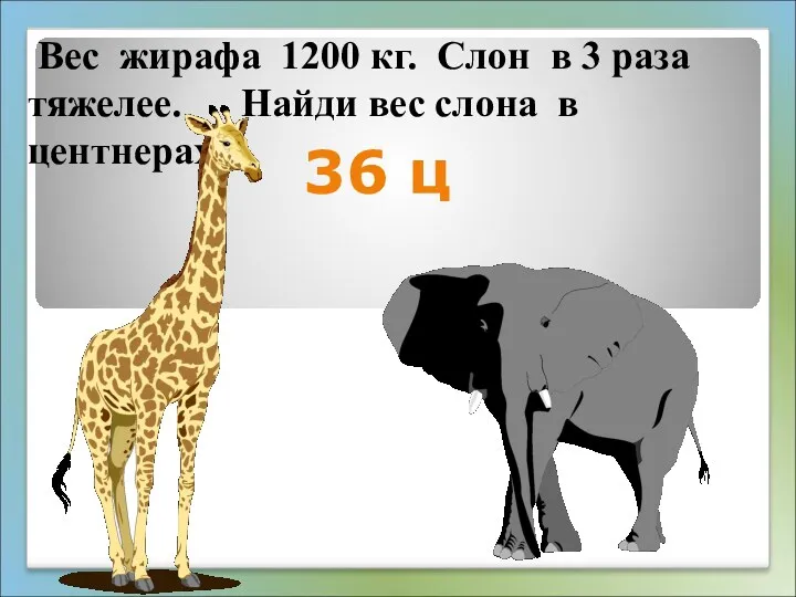 Вес жирафа 1200 кг. Слон в 3 раза тяжелее. Найди вес слона в центнерах. 36 ц