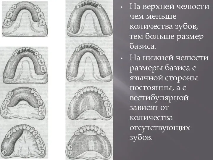 На верхней челюсти чем меньше количества зубов, тем больше размер