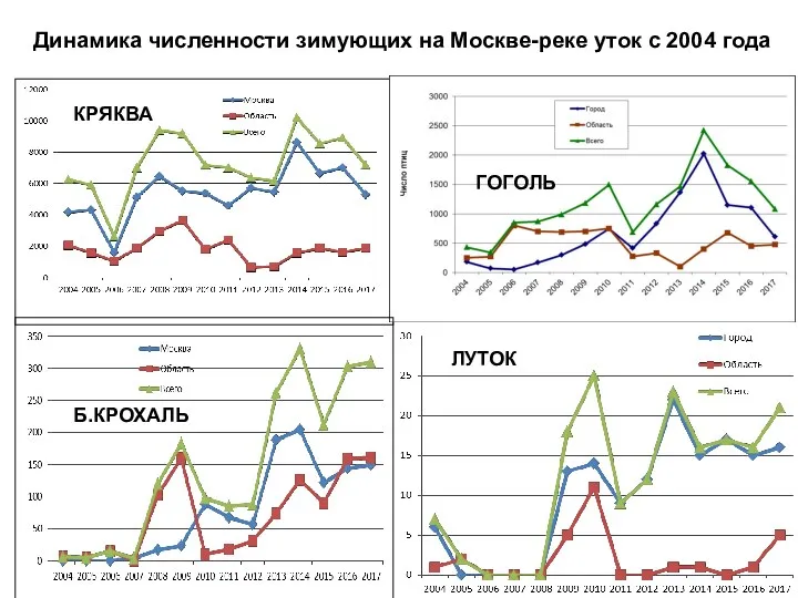 КРЯКВА ГОГОЛЬ Б.КРОХАЛЬ ЛУТОК Динамика численности зимующих на Москве-реке уток с 2004 года