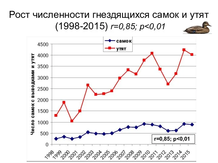 Рост численности гнездящихся самок и утят (1998-2015) r=0,85; р r=0,85; p