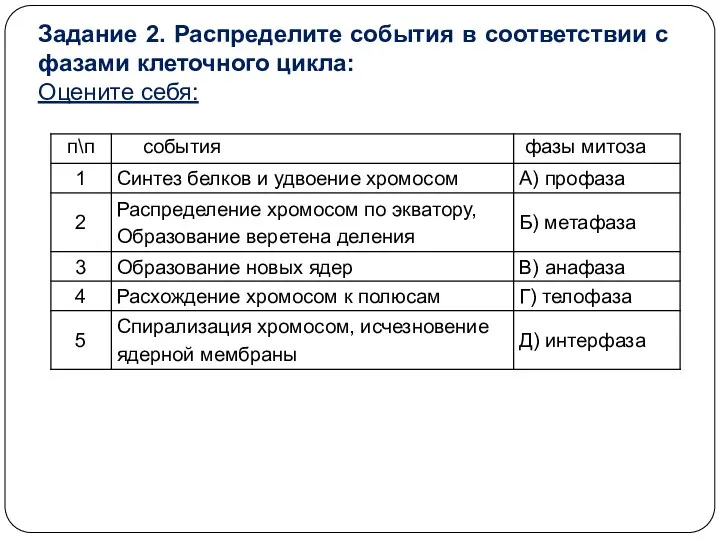 Задание 2. Распределите события в соответствии с фазами клеточного цикла: Оцените себя: