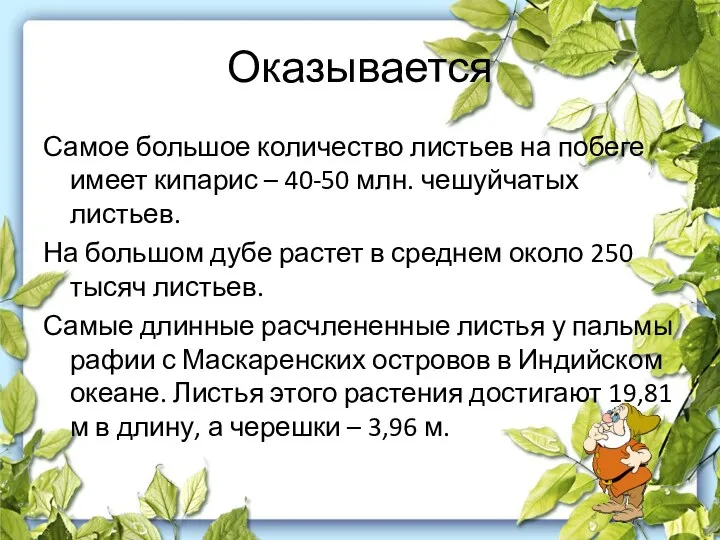 Оказывается Самое большое количество листьев на побеге имеет кипарис –