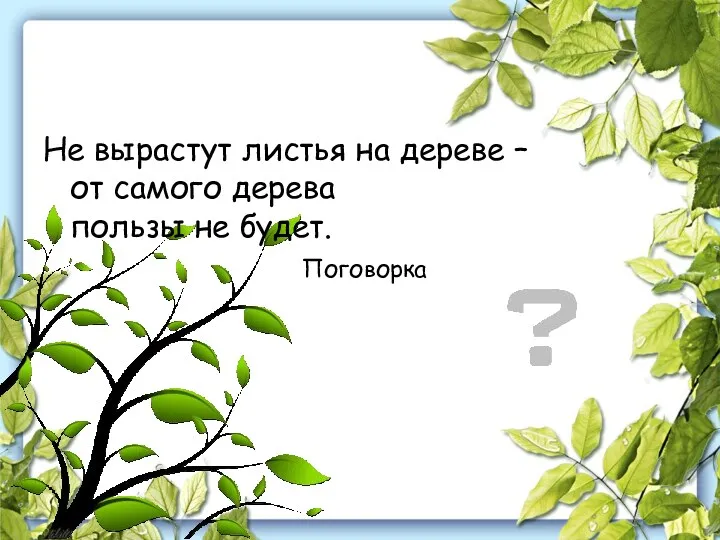 Не вырастут листья на дереве – от самого дерева пользы не будет. Поговорка