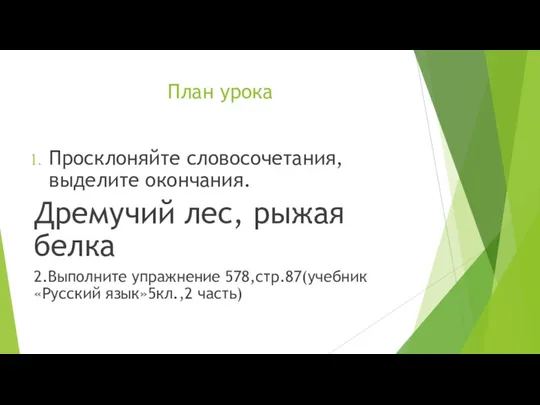 План урока Просклоняйте словосочетания, выделите окончания. Дремучий лес, рыжая белка 2.Выполните упражнение 578,стр.87(учебник «Русский язык»5кл.,2 часть)