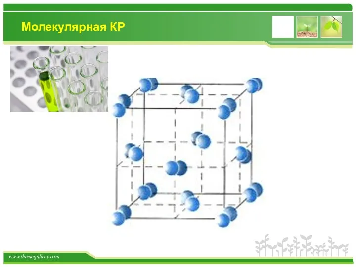 Молекулярная КР