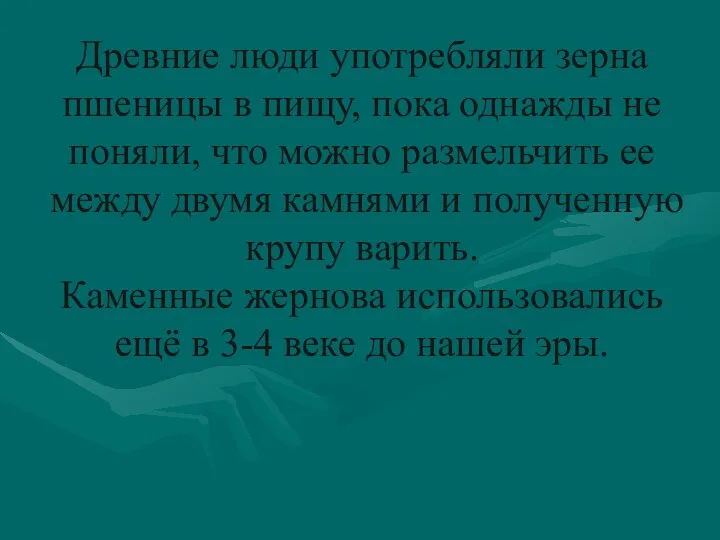 Древние люди употребляли зерна пшеницы в пищу, пока однажды не