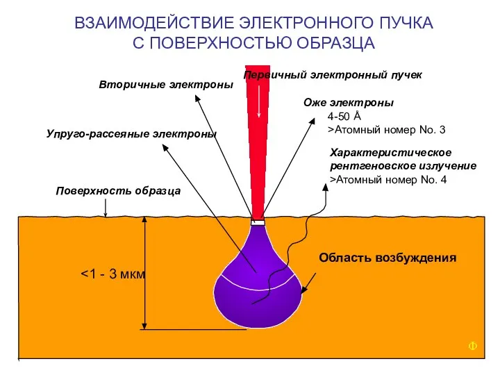 ВЗАИМОДЕЙСТВИЕ ЭЛЕКТРОННОГО ПУЧКА С ПОВЕРХНОСТЬЮ ОБРАЗЦА Первичный электронный пучек Оже