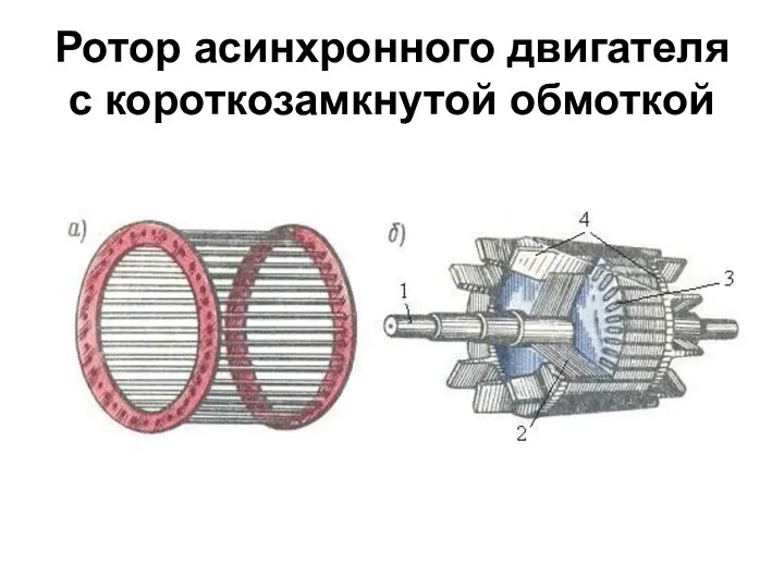 Ротор асинхронного двигателя с короткозамкнутой обмоткой