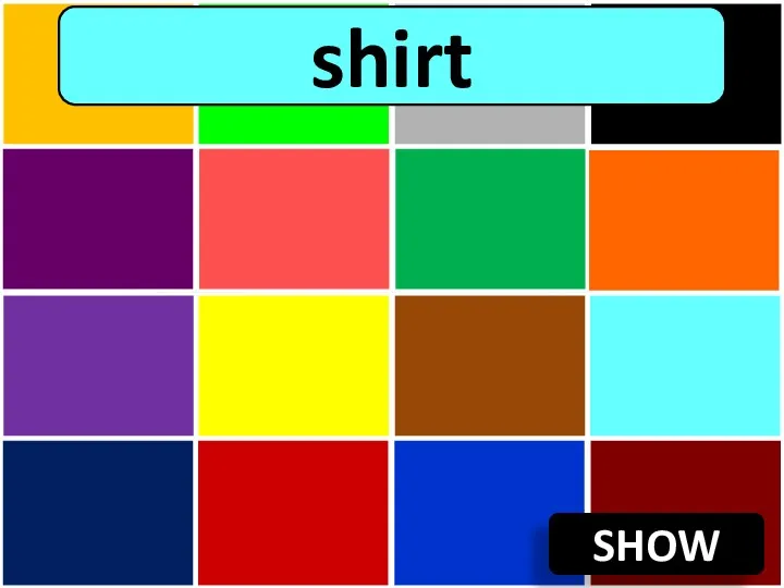 SHOW shirt