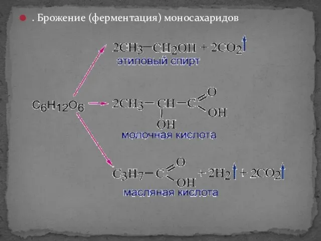 . Брожение (ферментация) моносахаридов