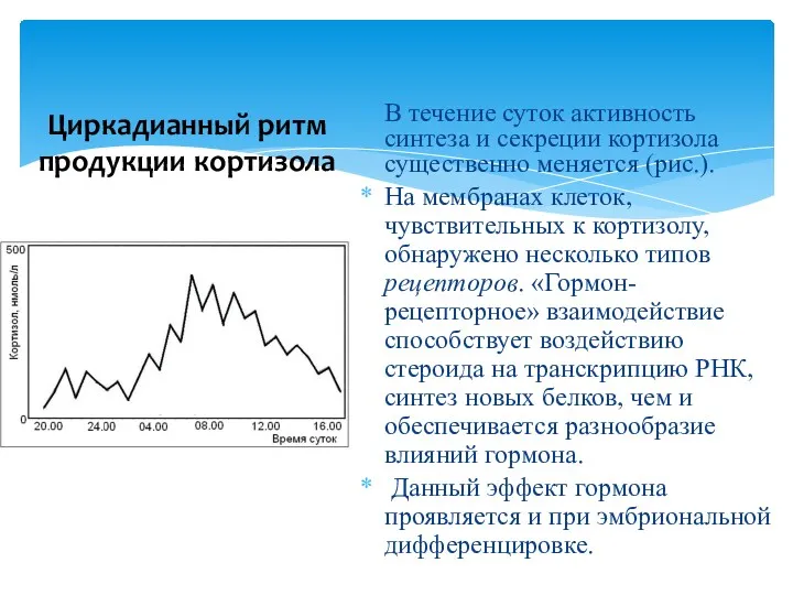 Циркадианный ритм продукции кортизола В течение суток активность синтеза и