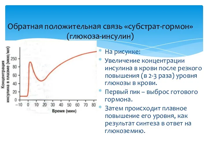 Обратная положительная связь «субстрат-гормон» (глюкоза-инсулин) На рисунке: Увеличение концентрации инсулина