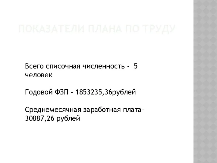 ПОКАЗАТЕЛИ ПЛАНА ПО ТРУДУ Всего списочная численность - 5 человек