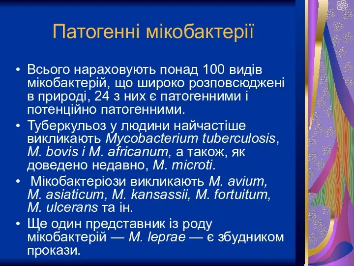 Патогенні мікобактерії Всього нараховують понад 100 видів мікобактерій, що широко