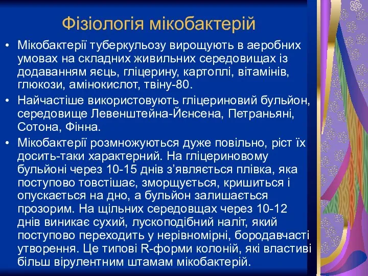 Фізіологія мікобактерій Мікобактерії туберкульозу вирощують в аеробних умовах на складних