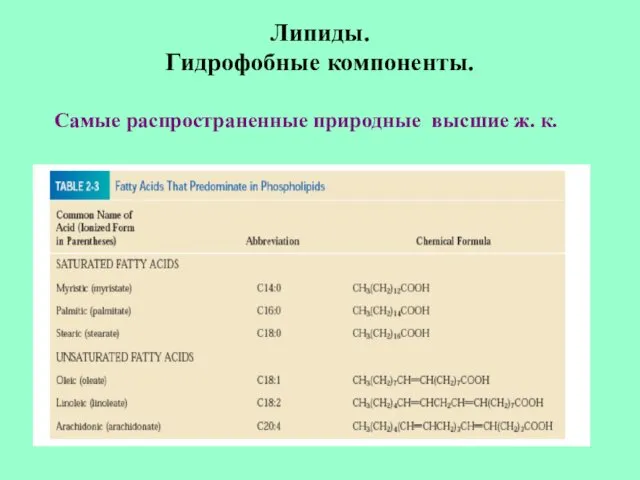 Липиды. Гидрофобные компоненты. Самые распространенные природные высшие ж. к.