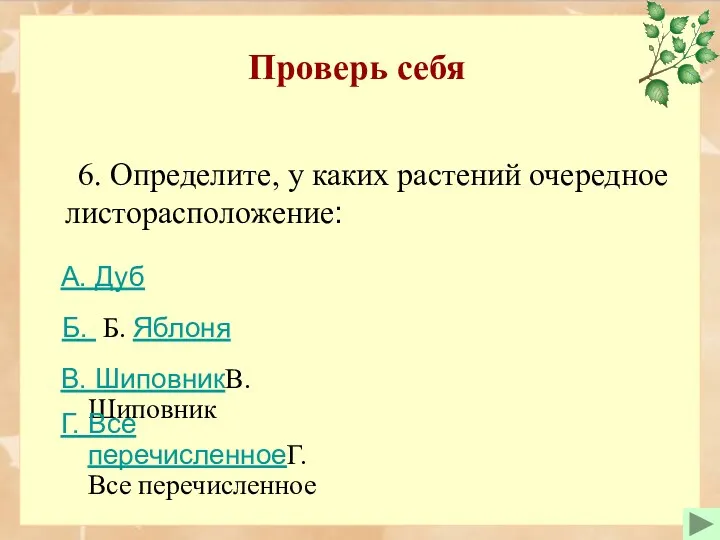 Проверь себя 6. Определите, у каких растений очередное листорасположение: Б.