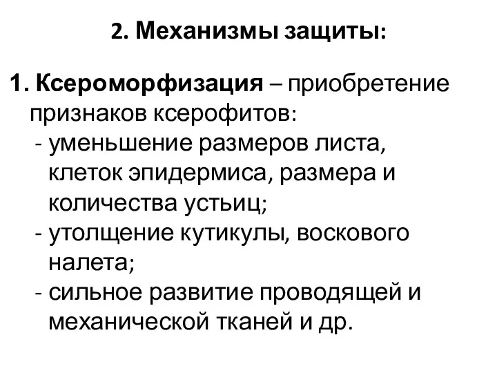 2. Механизмы защиты: Ксероморфизация – приобретение признаков ксерофитов: уменьшение размеров