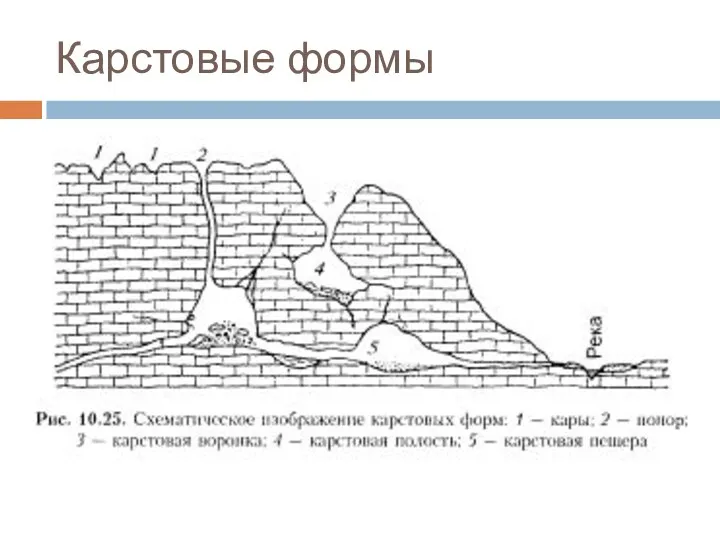 Карстовые формы