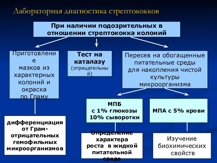 Лабораторная диагностика стрептококков При наличии подозрительных в отношении стрептококка колоний