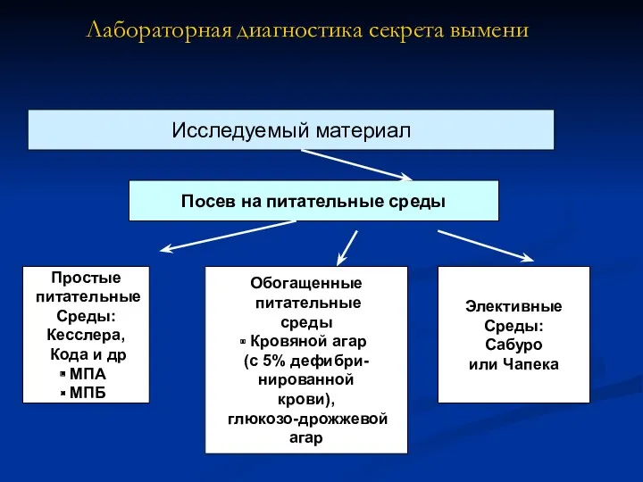 Лабораторная диагностика секрета вымени Исследуемый материал Посев на питательные среды