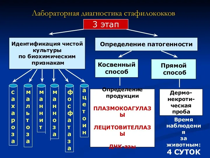 Определение продукции ПЛАЗМОКОАГУЛАЗЫ ЛЕЦИТОВИТЕЛЛАЗЫ ДНК-азы Лабораторная диагностика стафилококков 3 этап