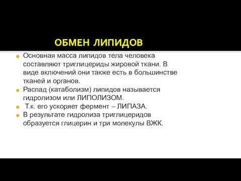 ОБМЕН ЛИПИДОВ Основная масса липидов тела человека составляют триглицериды жировой