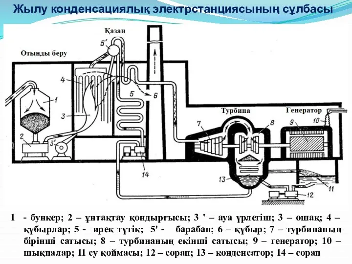 Жылу конденсациялық электрстанциясының сұлбасы - бункер; 2 – ұнтақтау қондырғысы;