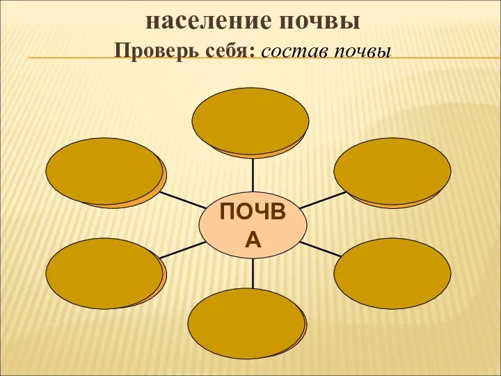 население почвы Проверь себя: состав почвы