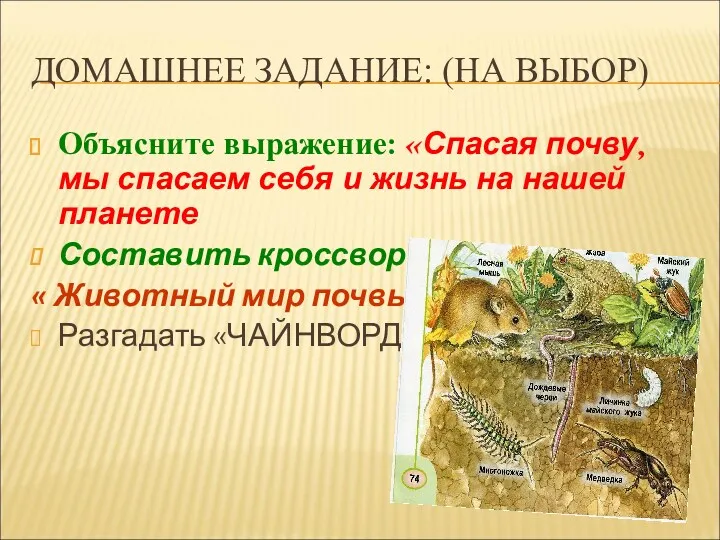 ДОМАШНЕЕ ЗАДАНИЕ: (НА ВЫБОР) Объясните выражение: «Спасая почву, мы спасаем