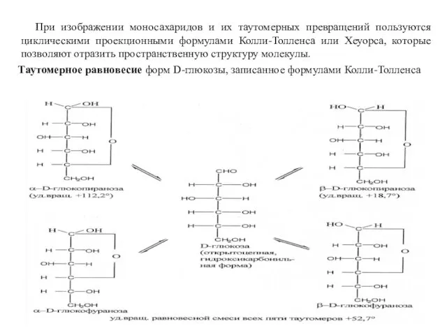 При изображении моносахаридов и их таутомерных превращений пользуются циклическими проекционными