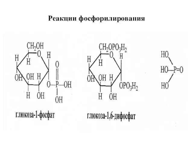 Реакции фосфорилирования