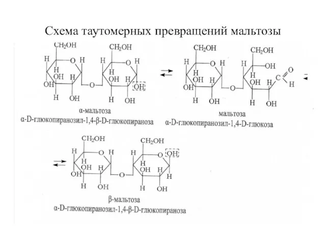 Схема таутомерных превращений мальтозы