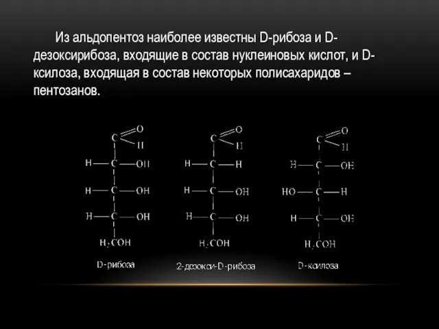 Из альдопентоз наиболее известны D-рибоза и D-дезоксирибоза, входящие в состав