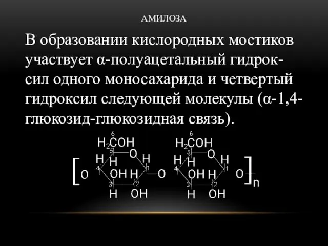 АМИЛОЗА В образовании кислородных мостиков участвует α-полуацетальный гидрок-сил одного моносахарида и четвертый гидроксил