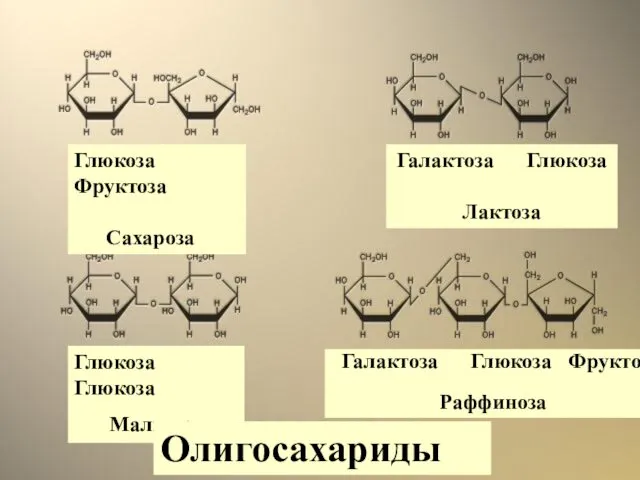 Глюкоза Фруктоза Сахароза Галактоза Глюкоза Лактоза Глюкоза Глюкоза Мальтоза Галактоза Глюкоза Фруктоза Раффиноза Олигосахариды